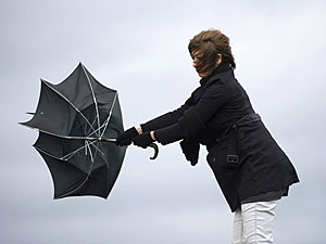wind-umbrella-1200 big.jpg